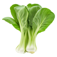 Fresh bok choy isolated on transparent background png