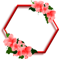 Pink flowers with hexagon frame png