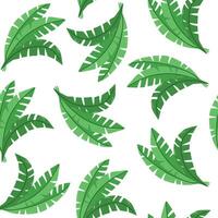 Seamless Palm jungle leaves pattern background texture vector