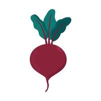 raíz de remolacha icono clipart avatar logotipo aislado ilustración vector