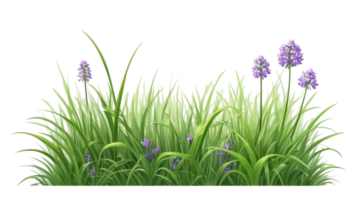 gras en bloem. zomer gras clip art png