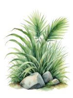 aquarelle tropical buisson transparent Contexte png