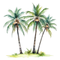 acquerello palma albero trasparente sfondo png