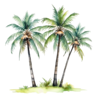 Aquarell Palme Baum transparent Hintergrund png