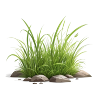 grass cartoon with transparent background png