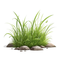 Gras Karikatur mit transparent Hintergrund png