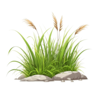 grass cartoon with transparent background png