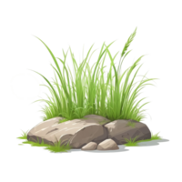 herbe dessin animé avec transparent Contexte png