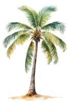 waterverf palm boom transparant achtergrond png