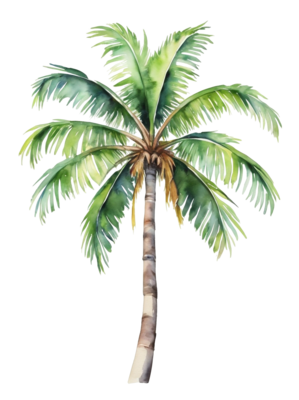Palm Tree Transparent PNGs for Free Download
