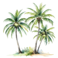 waterverf palm boom transparant achtergrond png