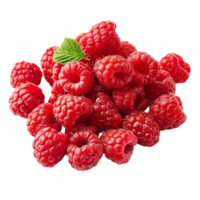 Transparent Raspberry Triangles png