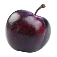 Vibrant Plum Illustrations png