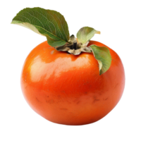 Persimmon Fruit Clipart at transparent background png