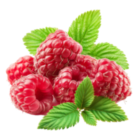 Raspberry Goodness at transparent background png