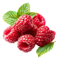 A Raspberry Delight at transparent background png