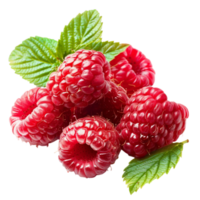 une framboise délice à transparent Contexte png