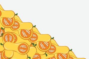 Vegetable pumpkin border or slice of pumpkin frame banner with copy space vector