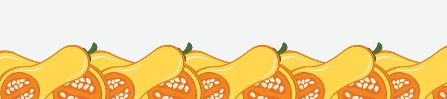 Vegetable pumpkin border or slice of pumpkin frame banner with copy space vector