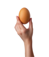 mano hold pollo uovo isolato su un' trasparente sfondo png