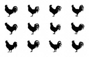 Hen Silhouette black Clipart, Chicken Silhouettes bundle vector