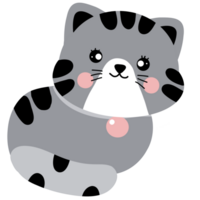 linda gato . png