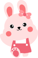 Cute Bunny . png