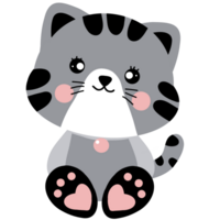 Cute cat . png