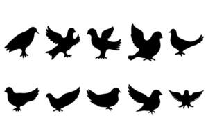 Simple bird illustration set design vector