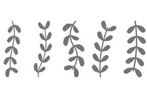 Flower vine icon set. Botanical decoration vector