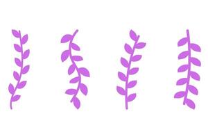 Flower vine icon set. Botanical decoration vector