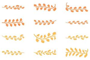 Flower vine icon set. Botanical decoration vector