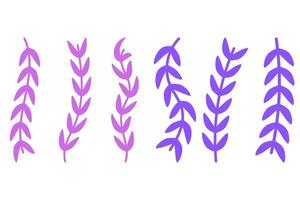 Flower vine icon set. Botanical decoration vector