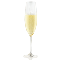 Rona Celebration Champagne flute lead free crystal gently curved bowl effervescent pale gold liquid splashing png