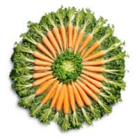 Carrot mandala a crisp mandala of orange carrots with green tops flying and steam rising png