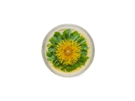 Dandelion Tea Detoxifying dandelion tea in a sleek glass with dandelion leaves and a healthful png