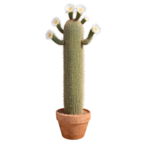 saguaro kaktus lång pelar- kaktus med flera olika vapen och vit ryggar i en stor terrakotta png