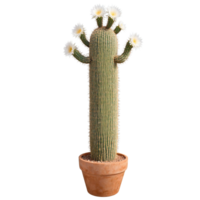 Saguaro Cactus tall columnar cactus with multiple arms and white spines in a large terracotta png