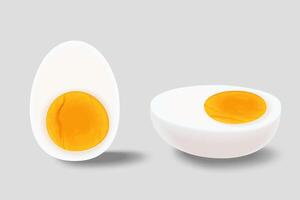 Set of sliced hard boiled eggs on grey background, 3d illustration vector