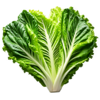 Romaine lettuce deep green elongated leaves with crisp texture evenly distributed in a heart shape png