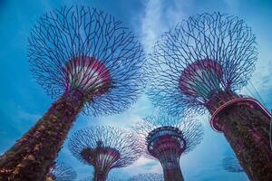 Lights in Gardens by the Bay in Singapore. photo