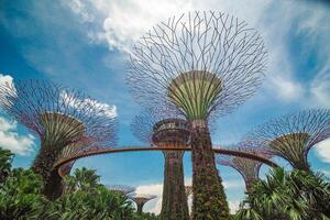 Lights in Gardens by the Bay in Singapore. photo