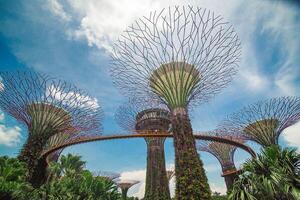 Lights in Gardens by the Bay in Singapore. photo