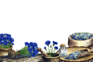 Banner with cornflower officinalis, medicinal herb, dried, crushed and fresh. Wooden utensils and an old recipe book. Country style. For pharmacy and spa care. Watercolor hand drawn illustration. png