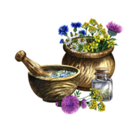 Medicinal herbs of cornflower, chamomile and tansy, St. John's wort and leuzea. In a wooden saucepan and a wooden mortar. Glass vial with medicine. Watercolor, hand-drawn illustration. png