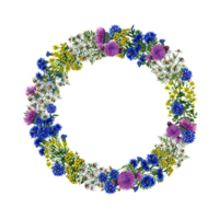 Wreath with wild flowers. Watercolor hand drawn illustration. For design solutions for backgrounds, packaging, labels and textiles. For banners, flyers and postcards, prints. png