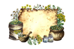 Medicinal herbs, chamomile, St. John's wort and tansy. Frame for writing on parchment. Dry, grind in a linen bag, in glass bottles and a wooden pot. Wooden mortar. Watercolor hand drawn illustration. png
