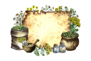 geneeskrachtig kruiden, kamille, st. John's wort en boerenwormkruid. kader voor schrijven Aan perkament. droog, malen in een linnen tas, in glas flessen en een houten pot. houten Mortier. waterverf hand- getrokken illustratie. png