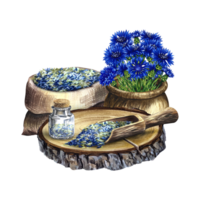 Cornflower officinalis, medicinal herb, dried, crushed in a linen bag. A bouquet of cornflowers in a wooden pot, a wooden scoop, and a glass bottle. Watercolor hand drawn illustration. png