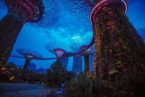 Lights in Gardens by the Bay in Singapore. photo